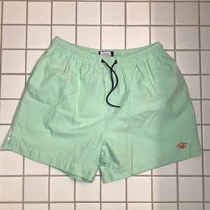 Spagnolo Men Green Swim Shorts